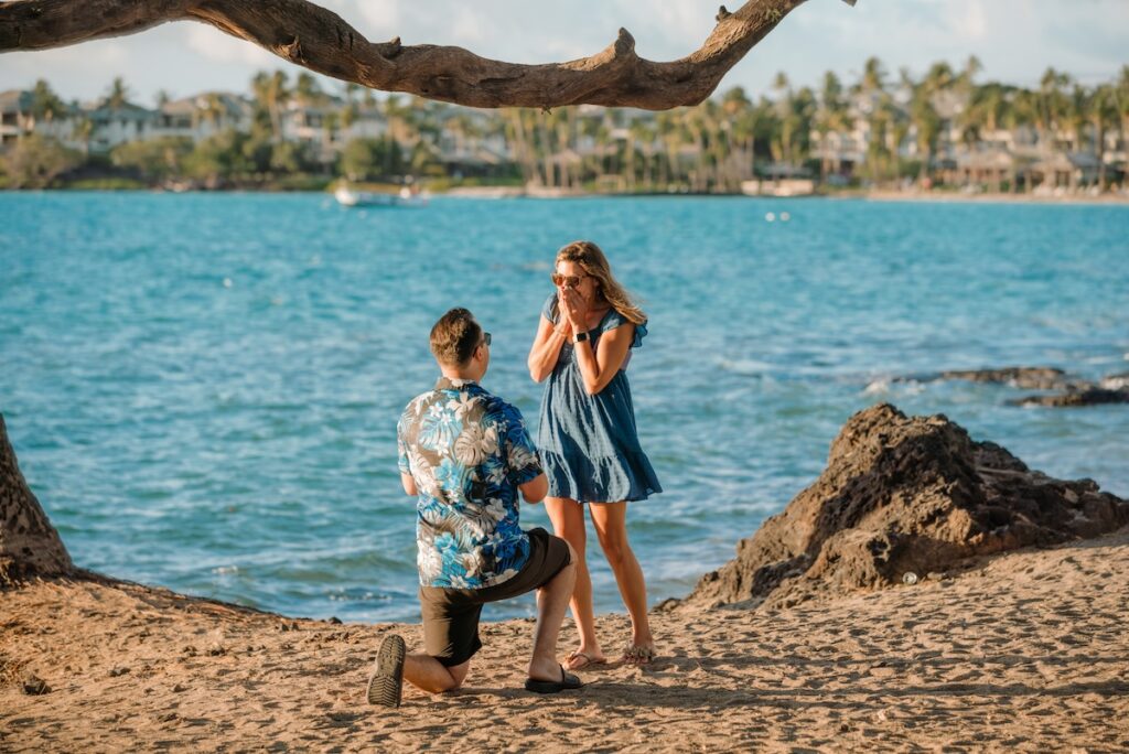 Big Island Surprise Proposal