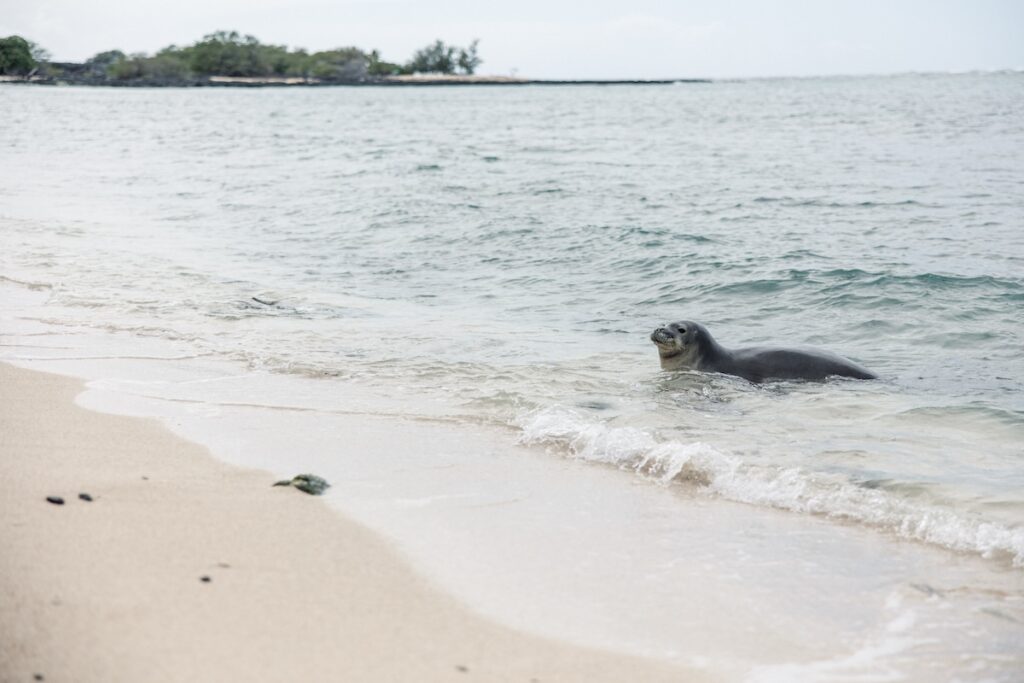 Mahaiula Beach Kona Hawaii